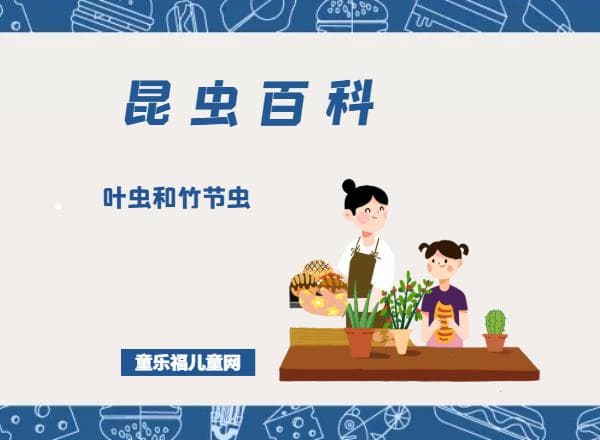 「昆虫百科」叶虫和竹节虫