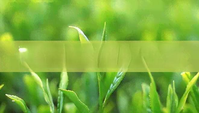 普洱茶加咖啡创意饮品：普洱茶配咖啡怎么制作？好喝吗？