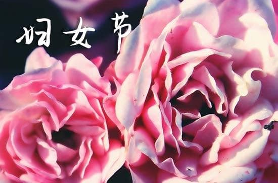 2025年妇女节送什么花最适合