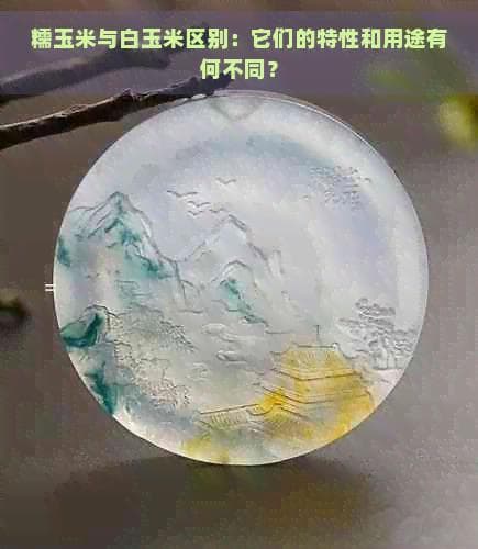 糯玉米与白玉米区别：它们的特性和用途有何不同？