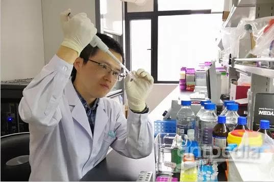 肖锐教授揭示RNA结合蛋白与转录因子具有广泛的关联作用