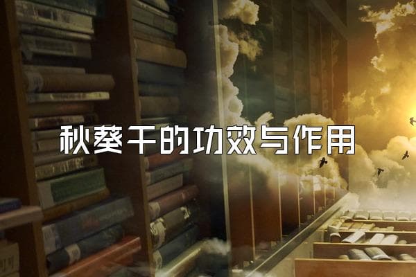 秋葵干的功效与作用