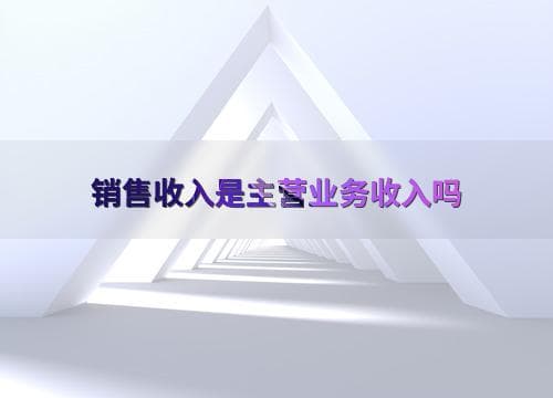 销售收入是主营业务收入吗