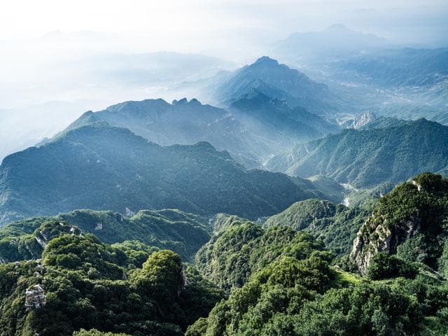 人生短暂，岁月如歌：在时光中寻找绽放的瞬间