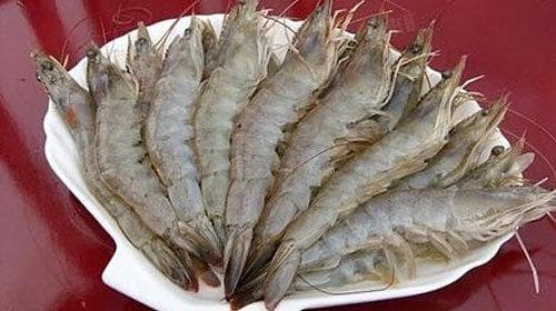 黑虎虾的营养价值及功效
