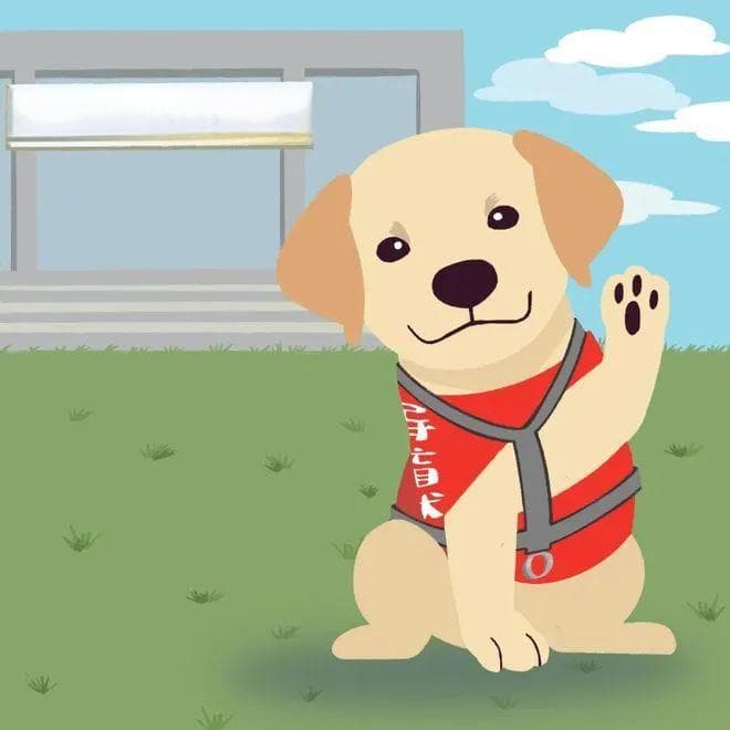 【国际导盲犬日】善待导盲犬 它们是视障人士的“另一双眼睛”