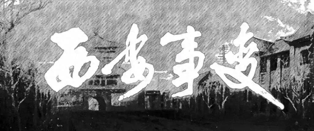 如今再看“西安事变”其实是张学良最后的自救！