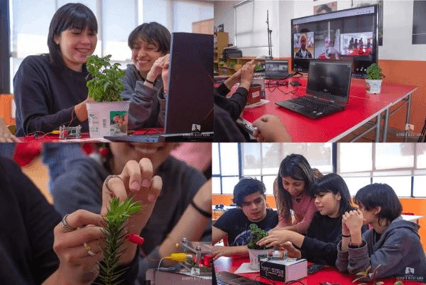 高中生发现：植物真的会“感觉”疼痛！