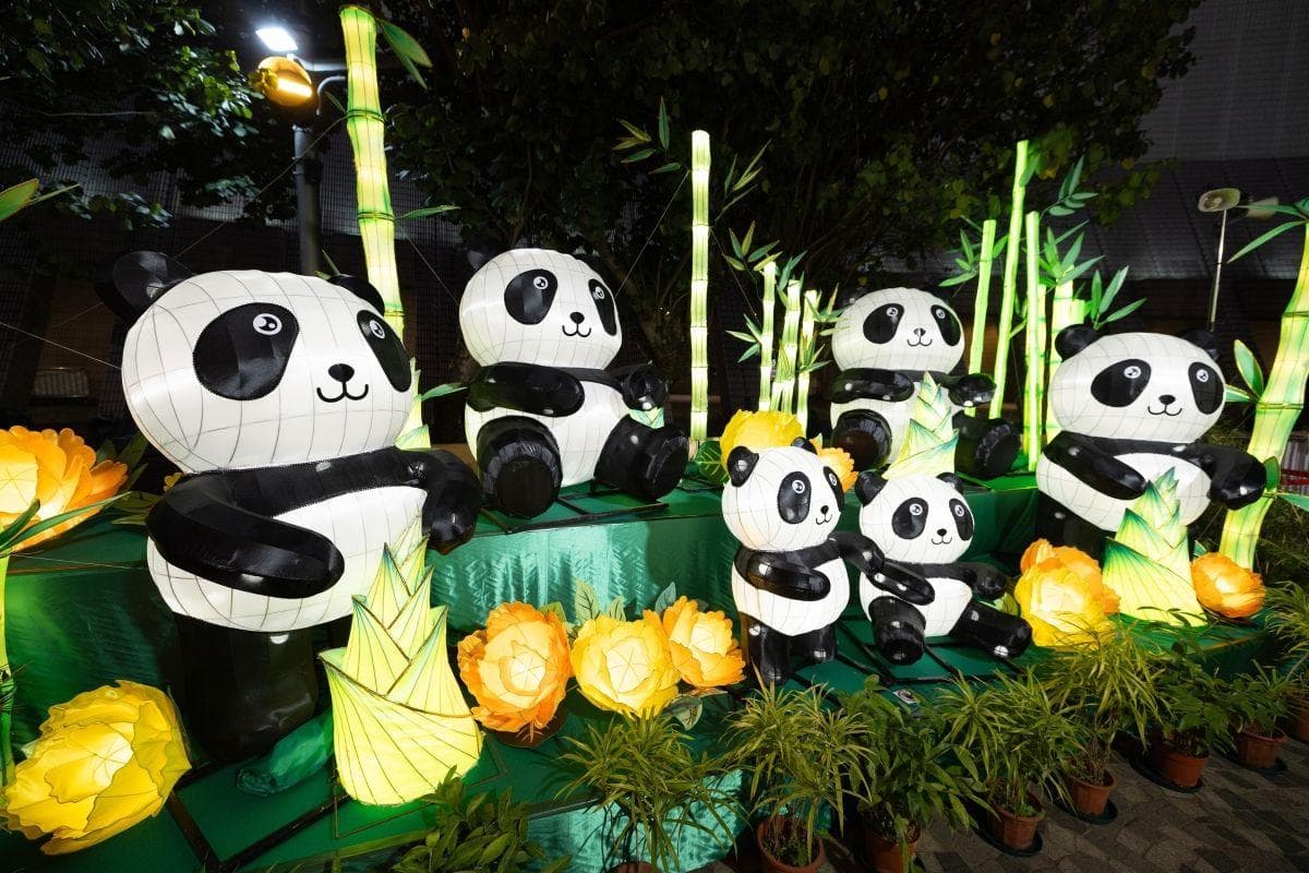 香港文化中心举办元宵彩灯会，六大主题展区展现传统文化魅力