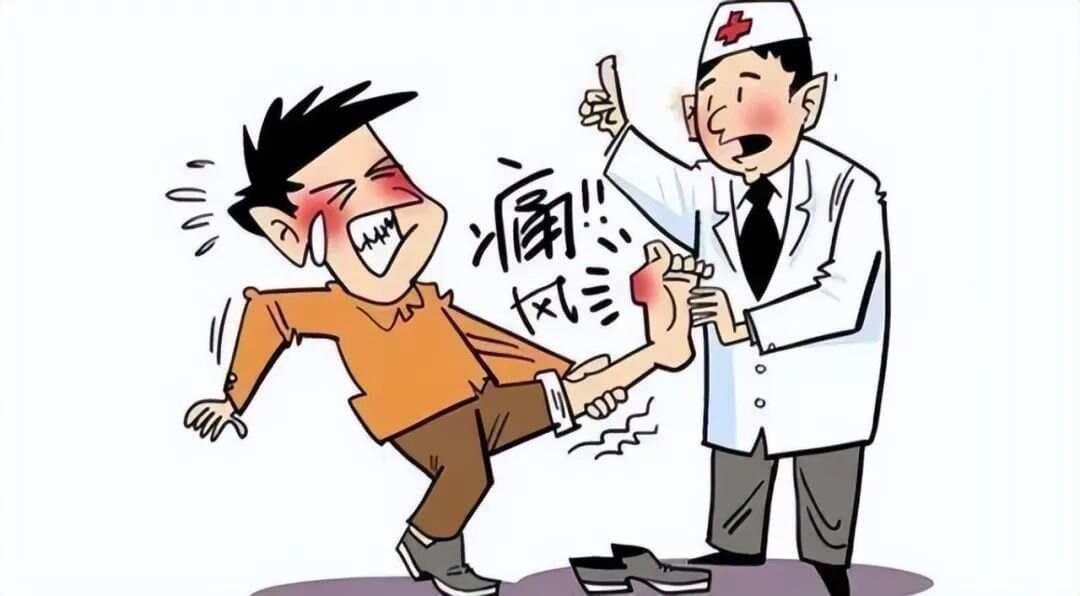冬瓜搭两宝，痛风不来找，祛湿热调脾肾，排出尿酸，关节肿痛都好了！