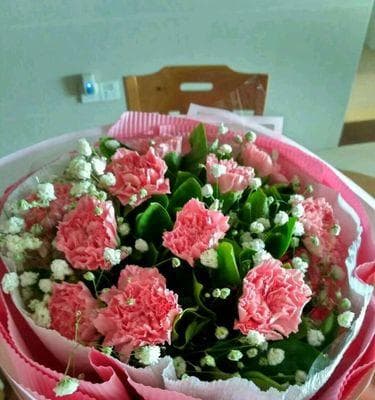康乃馨：十种花语与情感传达