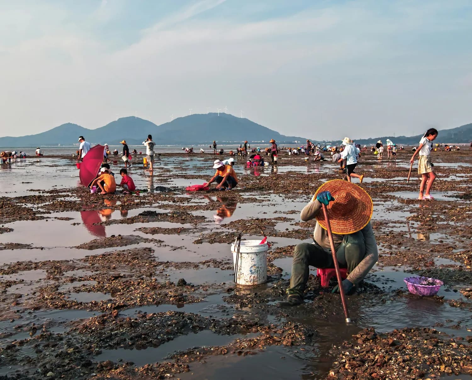 象山赶海最佳时间揭秘！