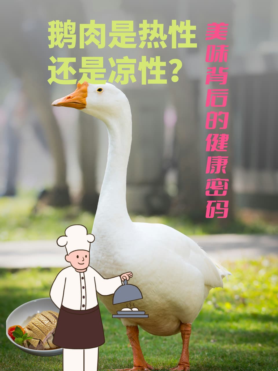 鹅肉：热性还是凉性？美味背后的健康密码