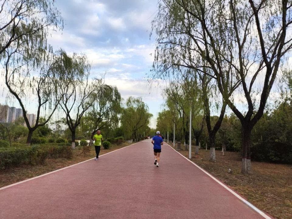 跑步通过多种生理和心理机制来缓解焦虑和抑郁，从而守护我们的心理健康