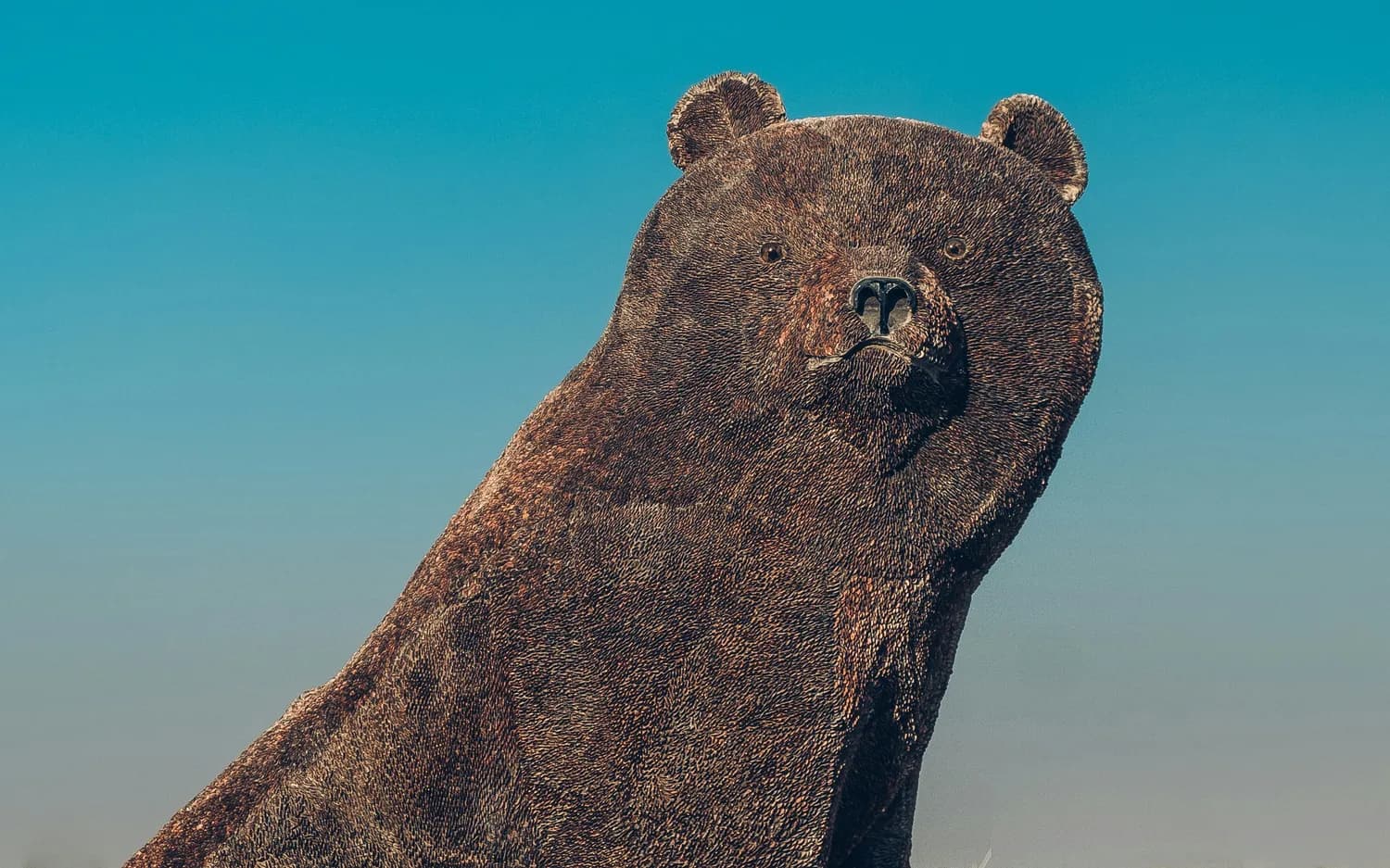 《Brown Bear》亲子共读，快乐成长时光