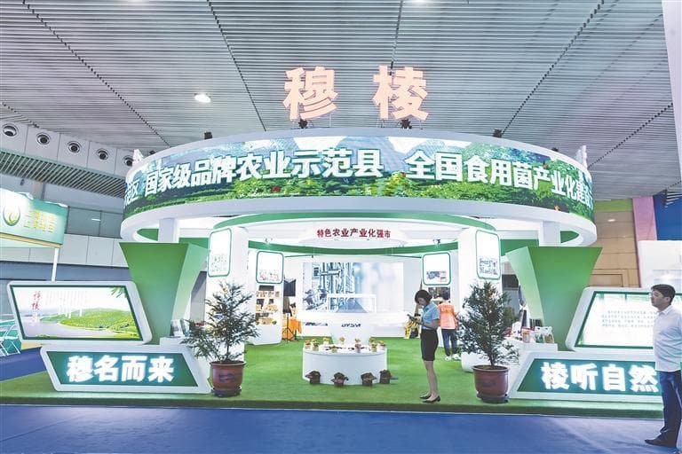 穆棱黑木耳 创出品牌价值 闯出市场认可度