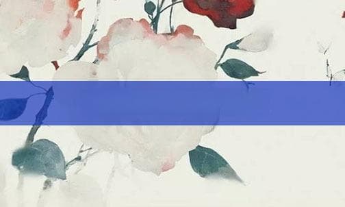 囊萤夜读的故事和含义