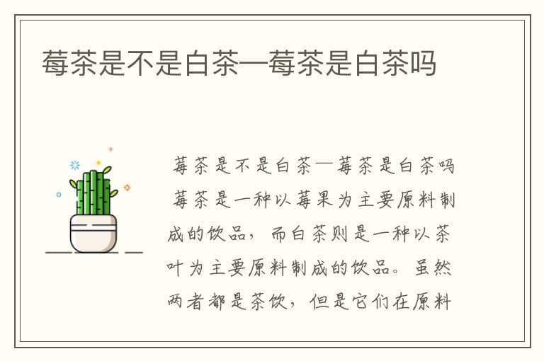 莓茶是不是白茶—莓茶是白茶吗