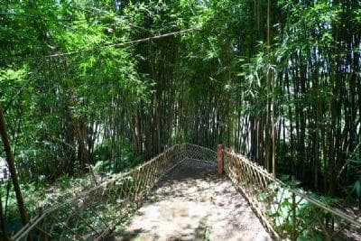 耒阳十大旅游景点