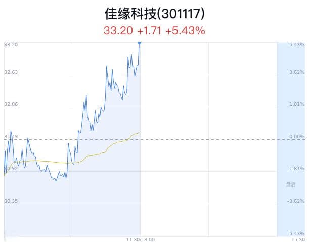 佳缘科技涨5.43% 国产芯片获政策支持