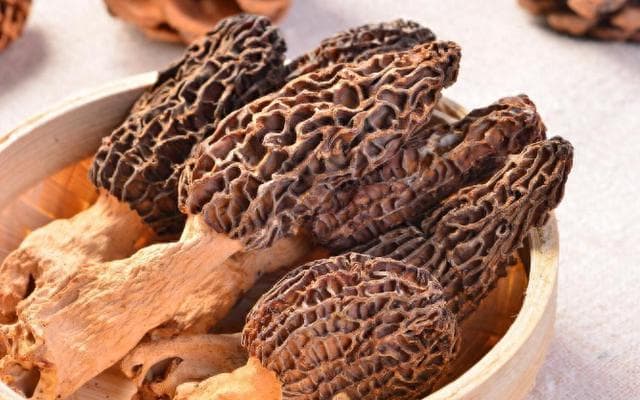 羊肚菌被称为“菌中之王”，长期吃还能养胃？论羊肚菌的真正作用
