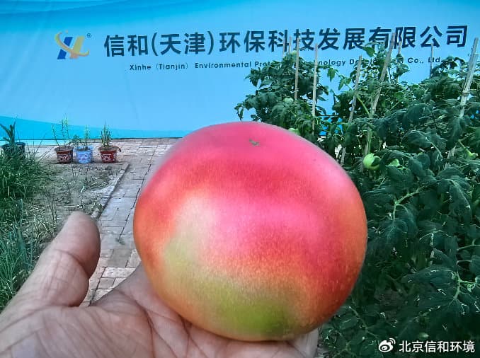 生物有机肥：现代农业可持续发展的重要选择