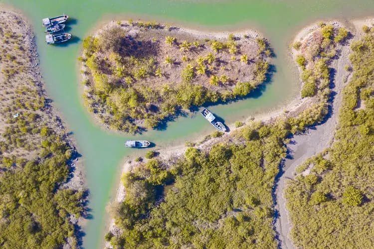 海南陵水：海上森林 千羽家园