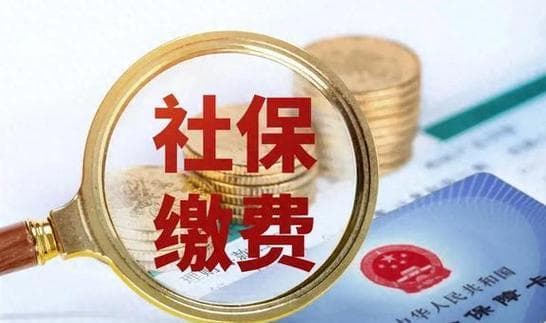 职工补缴社保可免滞纳金？最新政策解读