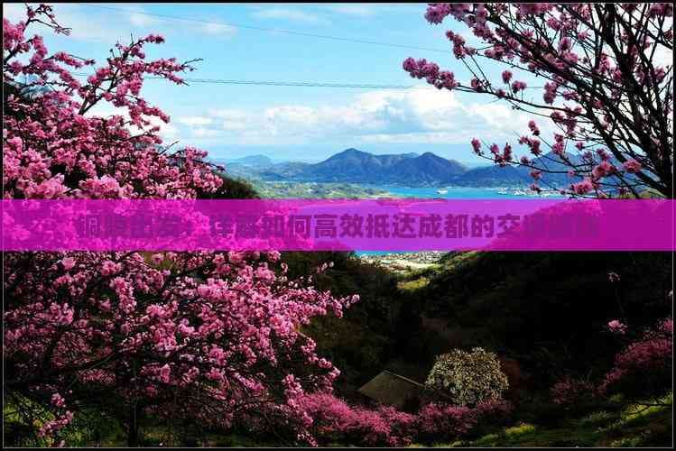 铜陵出发：详解如何高效抵达成都的交通路线