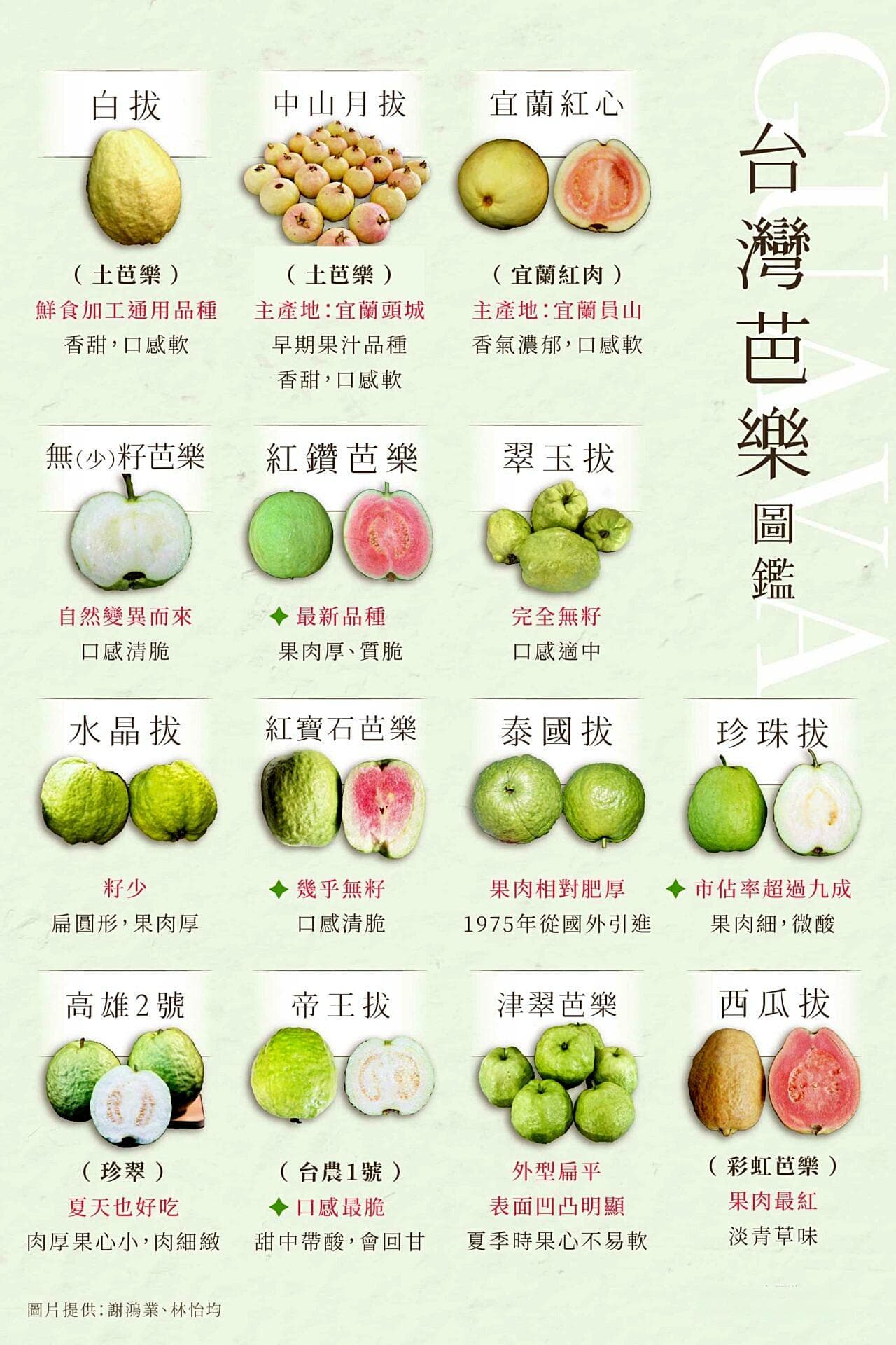 【芭乐图鉴】14种芭乐吃过吗？珍珠帝王水晶三巨头，红钻珍翠是新秀，中山月拔老相好
