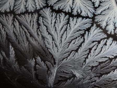 雪花之美的科学疑惑：为什么雪花的分枝像树？