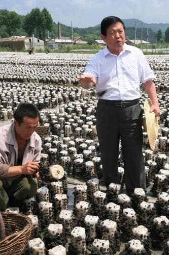 最美科技工作者李玉：深耕菌类资源保育 “蘑菇院士”助力产业扶贫