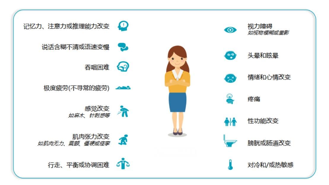 菊粉新发现：通过调节肠道菌群改善多发性硬化症