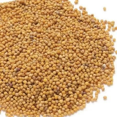 芥末：从种类到菜谱的全面指南