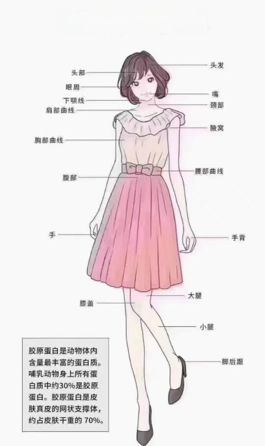 揭秘优质胶原蛋白补充剂的选择秘诀：从原料到吸收率全面剖析