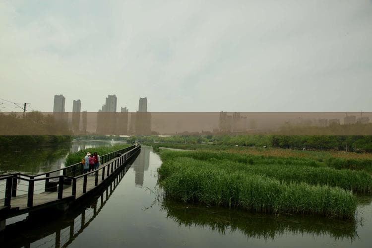 五台山风景区峨眉村秘境探幽：揭秘佛教圣地的人文与自然交融之美