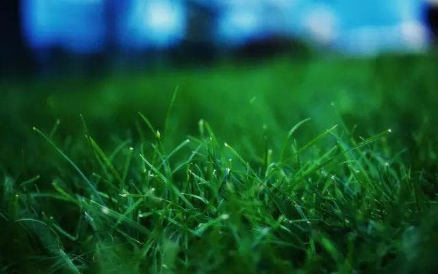 脑科学证实：5种简单方法改善大脑功能
