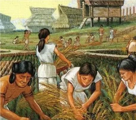 日本弥生时代与中国历史的对应：一段跨文化交流的探索
