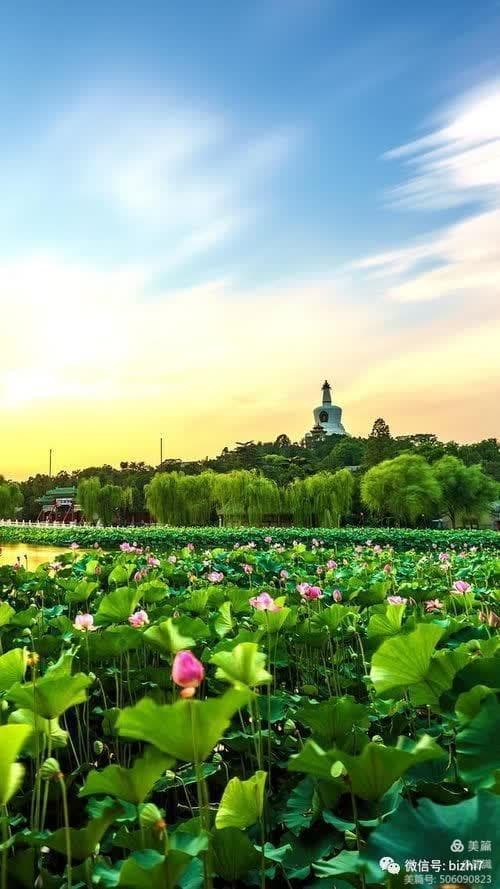 《富爸爸与穷爸爸》：投资理财的智慧与勇气