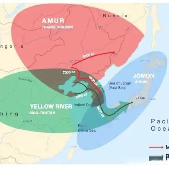 研究证实：日语、土耳其语等起源于中国东北地区