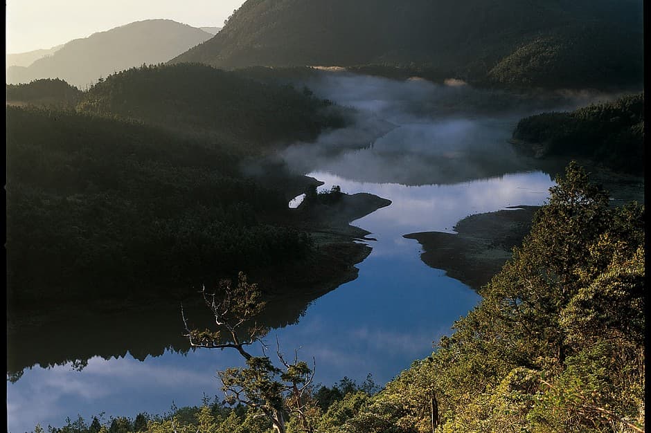 太平山国家森林游乐区：四季变换的自然美景
