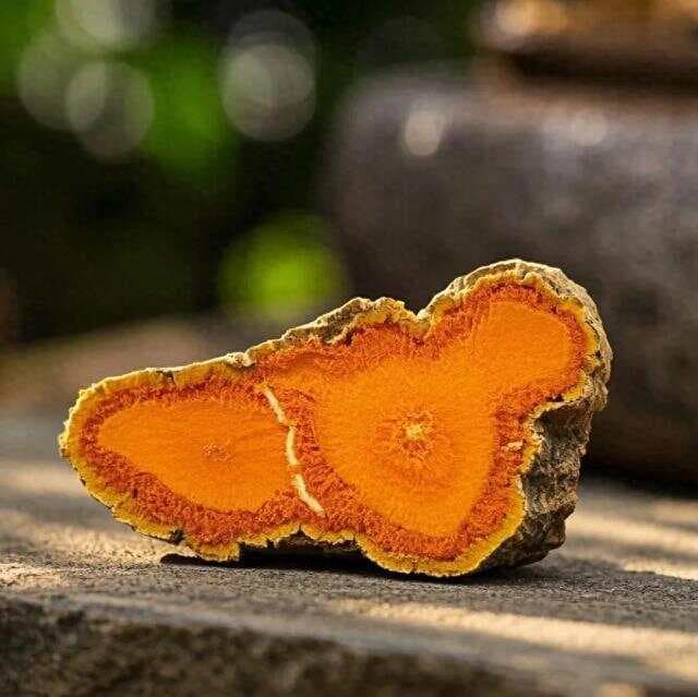 中药无毒？这些药材正在伤害你的肾