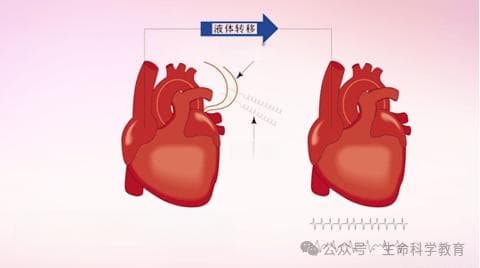 梦中形成的生物学实验