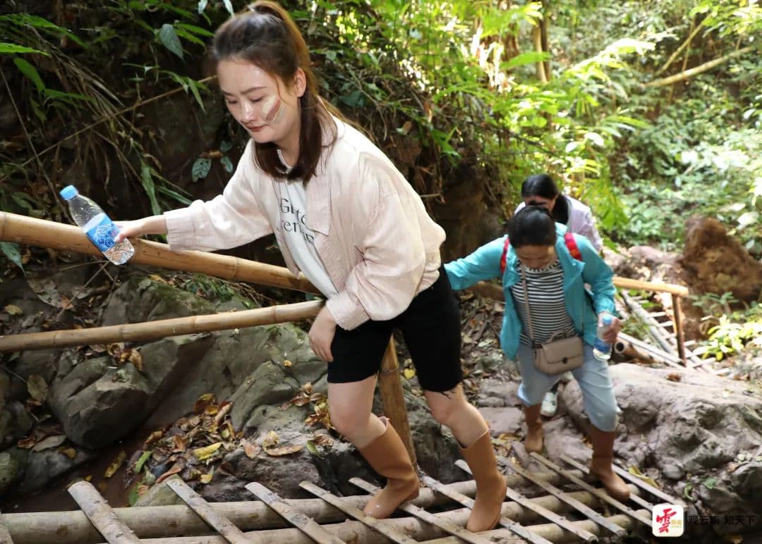 西双版纳兴起雨林徒步热：43条路线已接待超2万游客，村民月入可达6000元