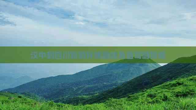 汉中到四川旅游环线路线及自驾游攻略