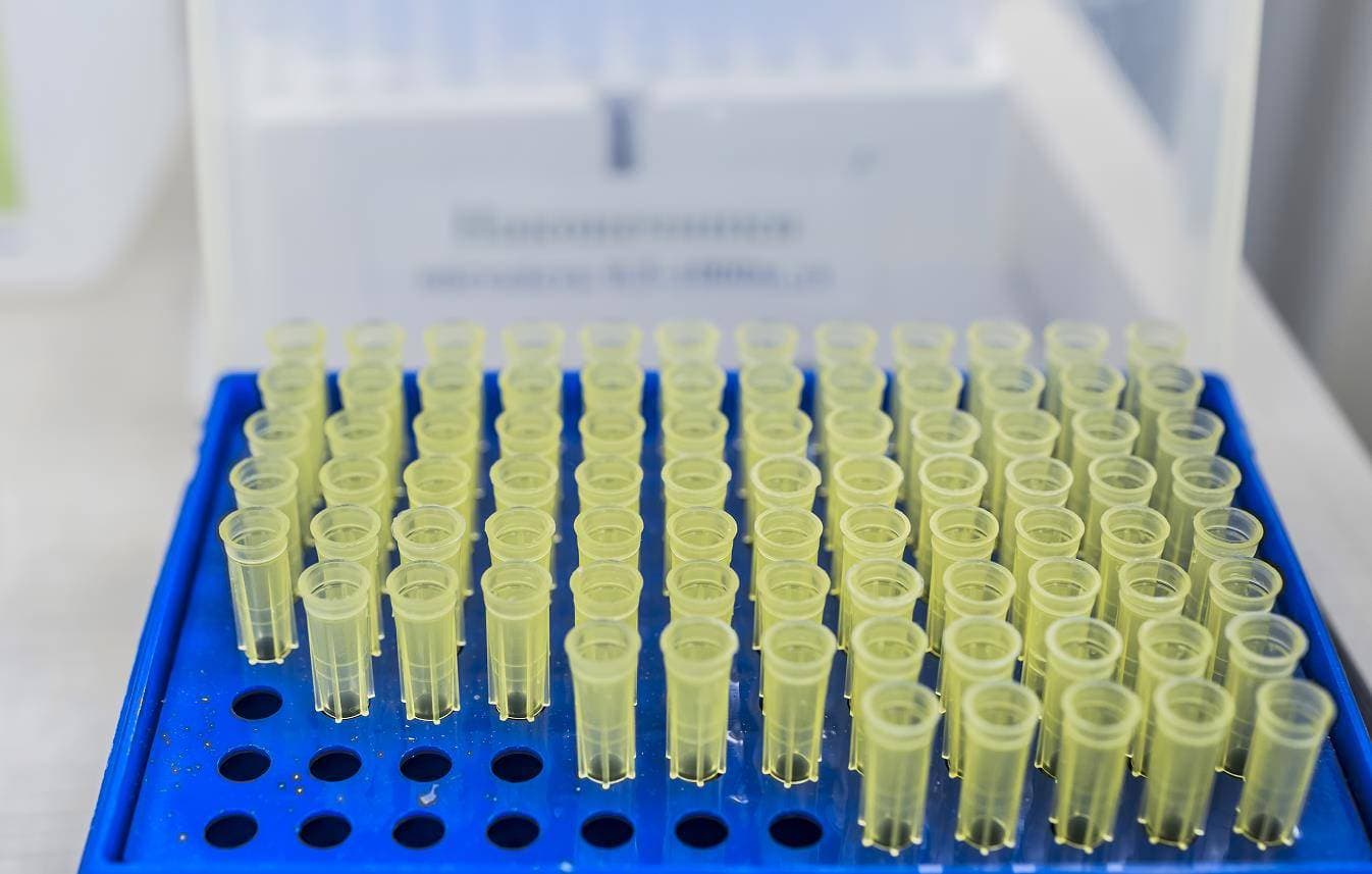 实时定量PCR（qPCR）实验技术原理、实验步骤及其应用