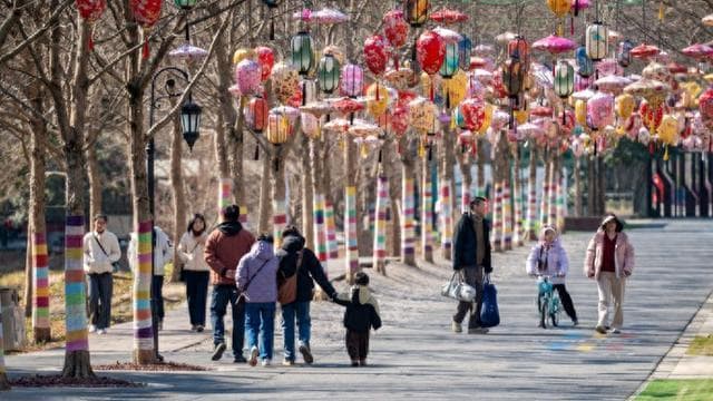 花灯观赏、文创市集、漫步赏梅……朱泾古镇带你体验春节文化盛宴