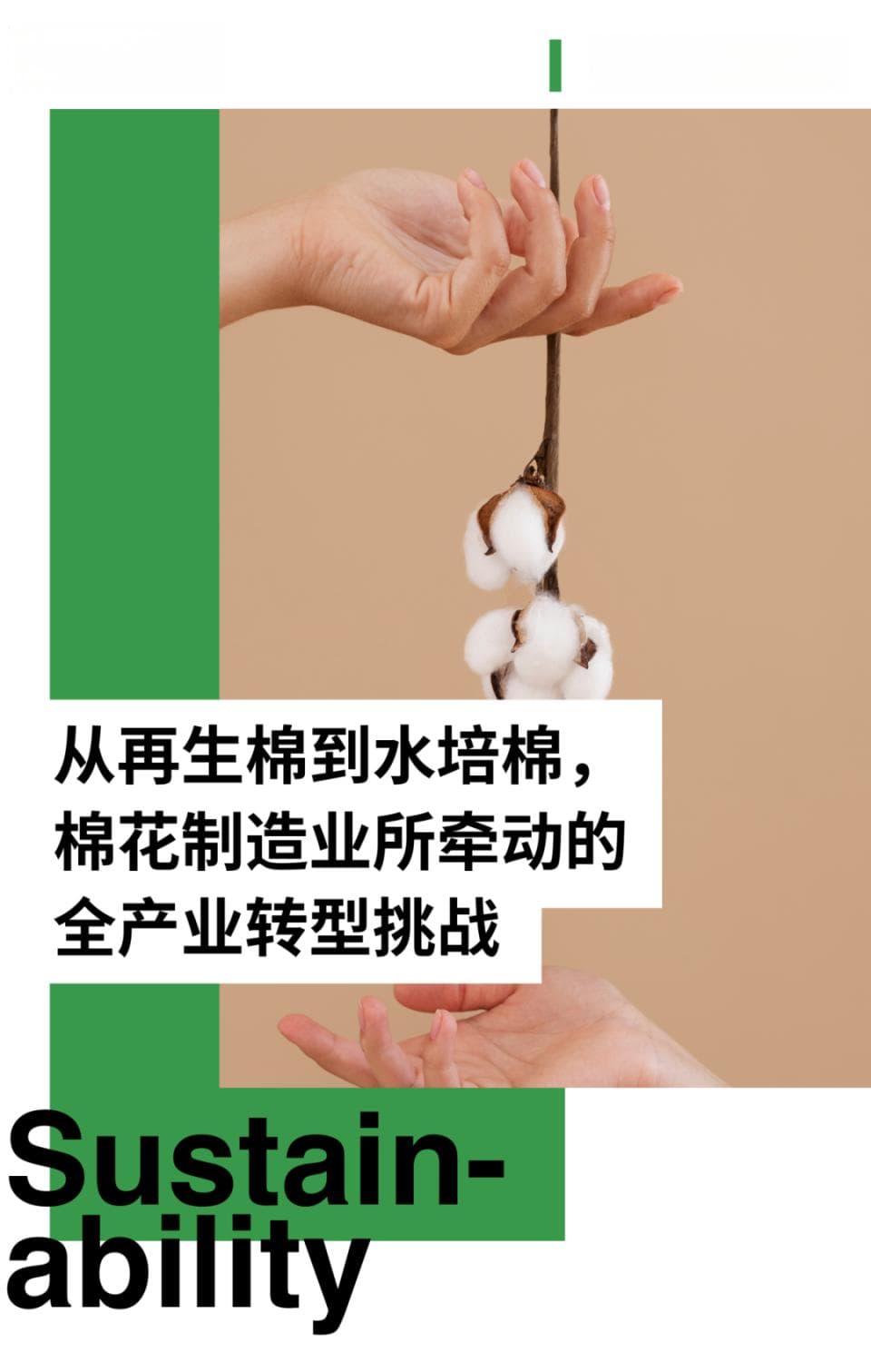 可持续时尚｜从再生棉到水培棉，棉花制造业所牵动的全产业转型挑战