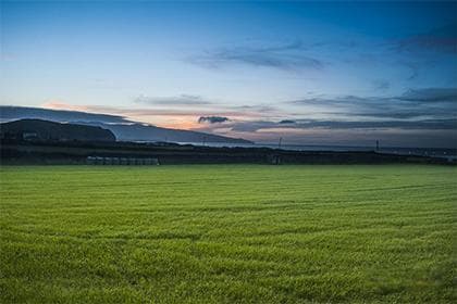 2025年属猪冲太岁：结婚应对策略与建议