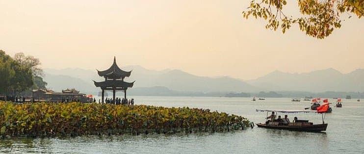 理性思维：探究逻辑与直觉在决策中的作用